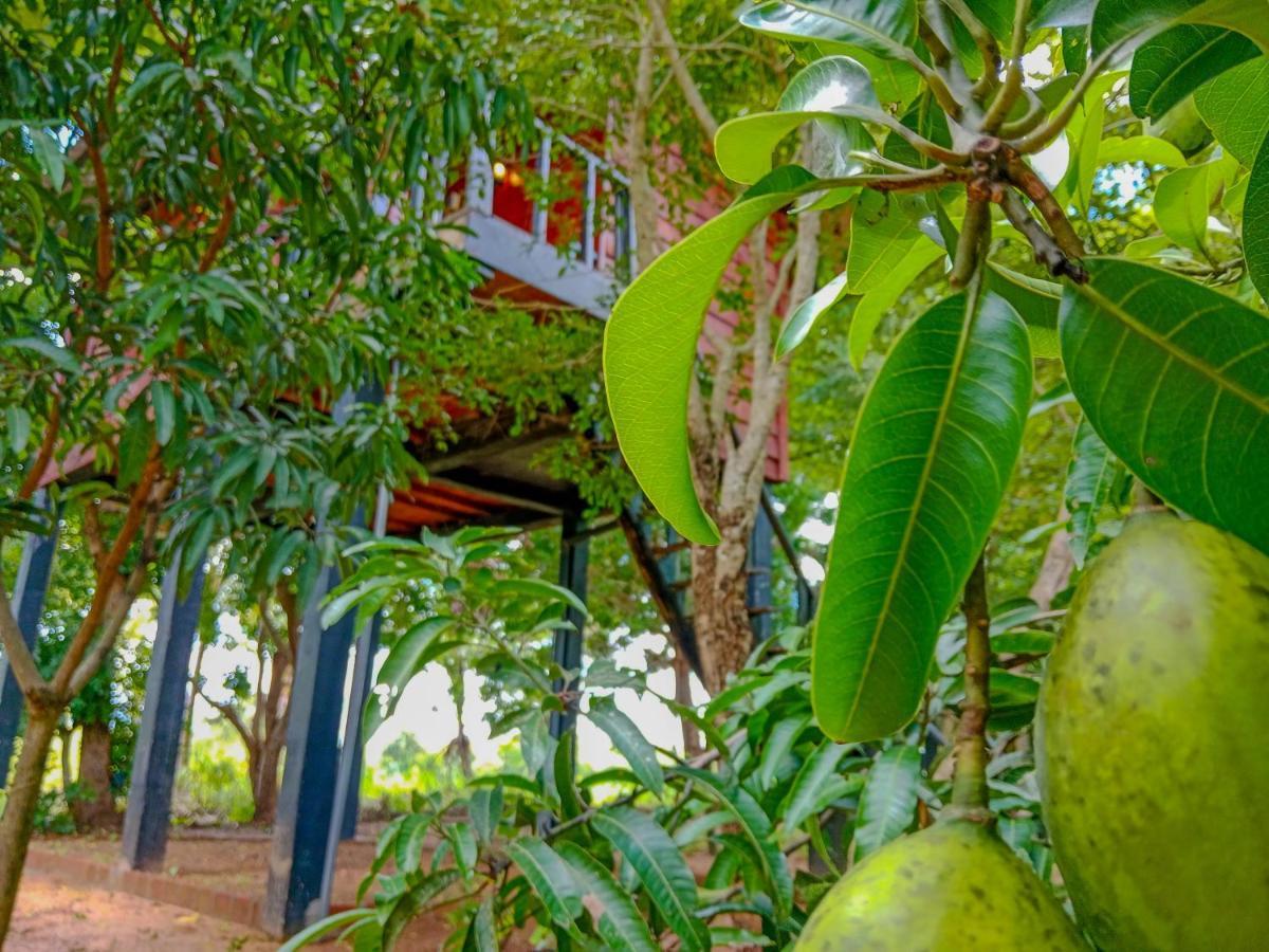 Ceylon Amigos Eco Resort Sigirîya Extérieur photo