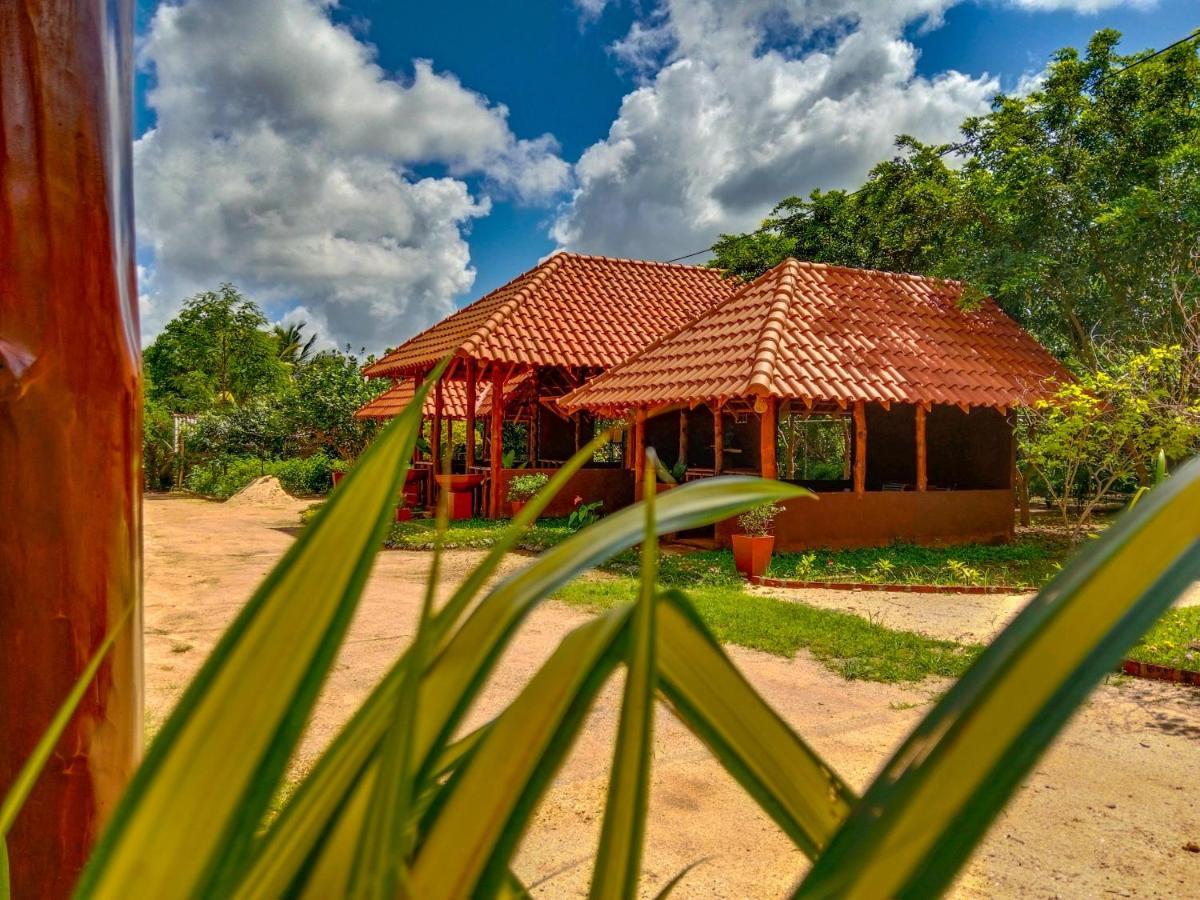 Ceylon Amigos Eco Resort Sigirîya Extérieur photo
