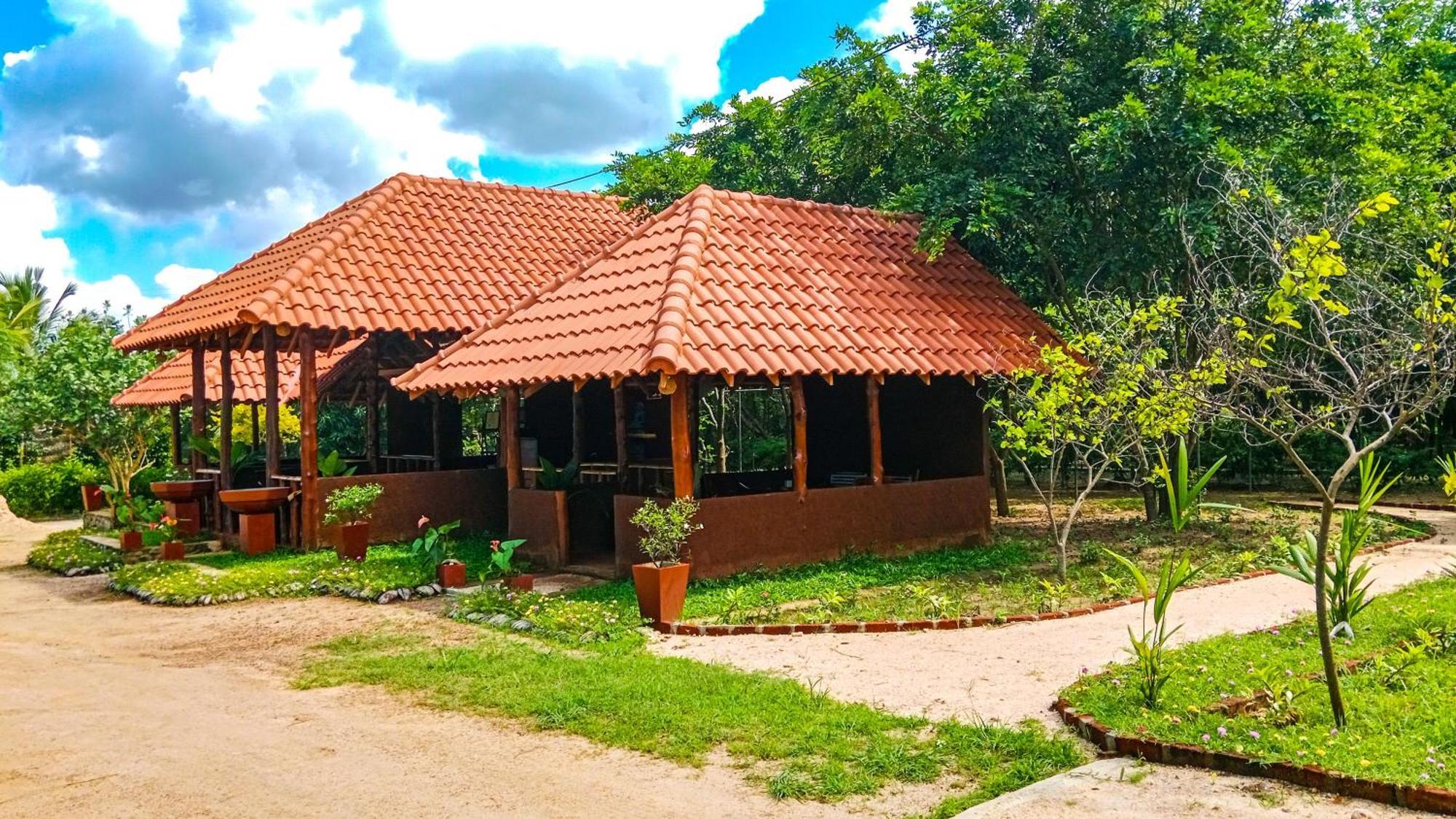 Ceylon Amigos Eco Resort Sigirîya Extérieur photo
