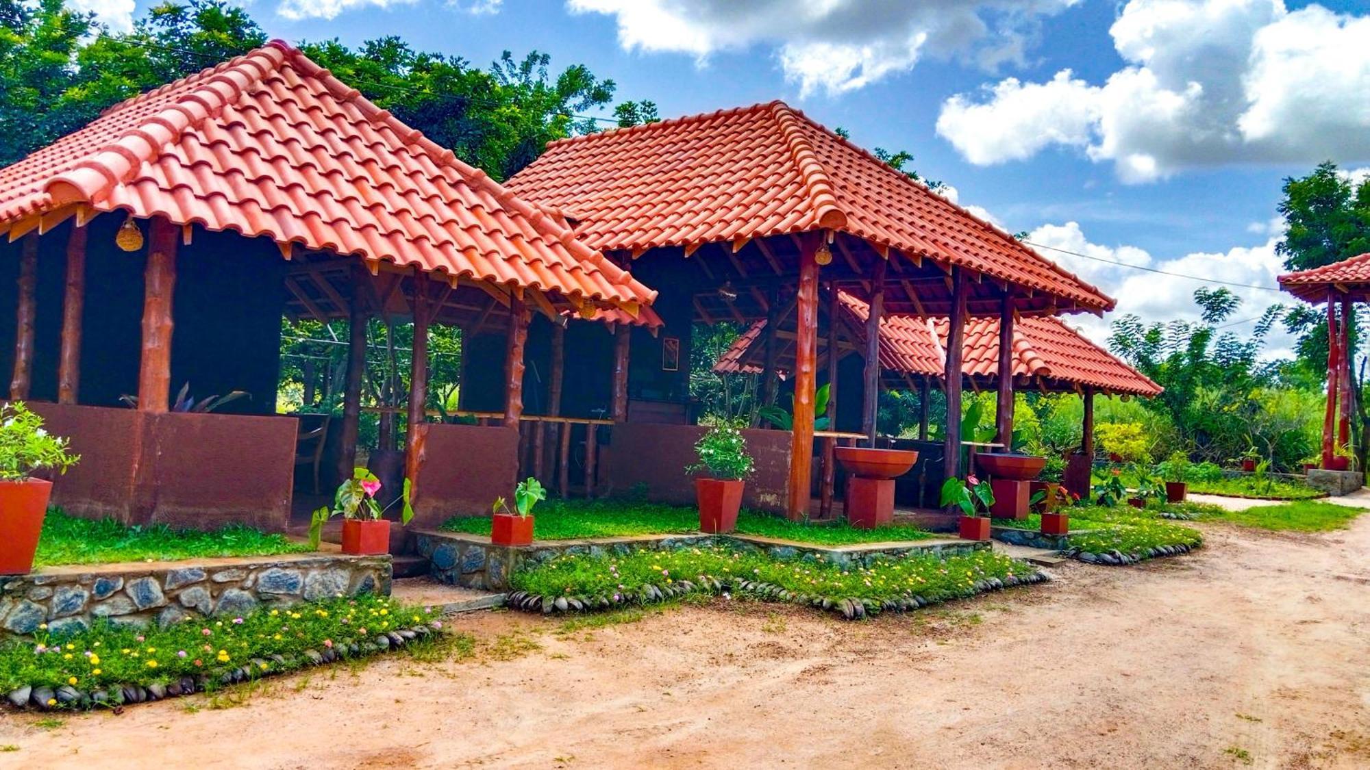 Ceylon Amigos Eco Resort Sigirîya Extérieur photo