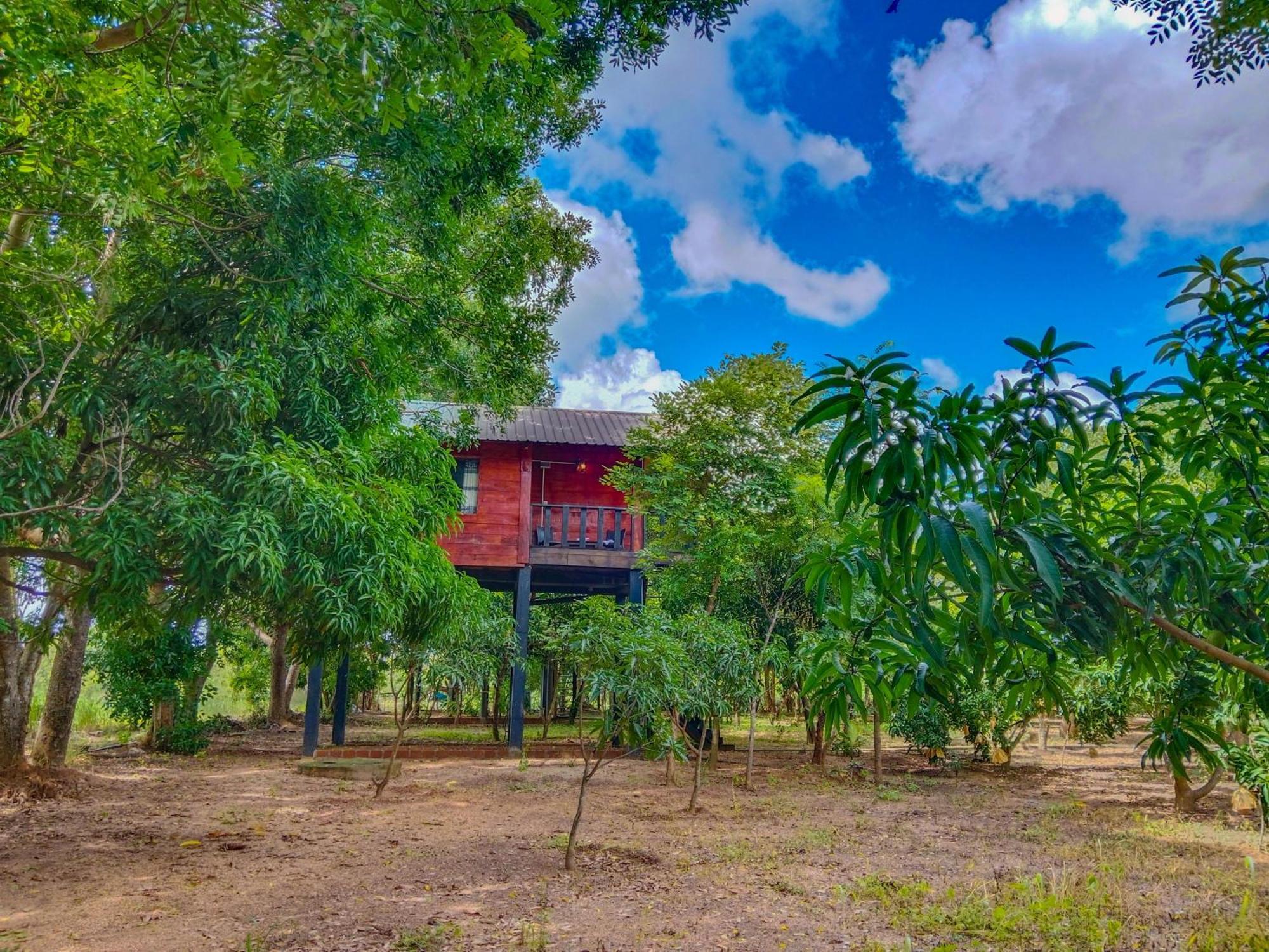 Ceylon Amigos Eco Resort Sigirîya Extérieur photo