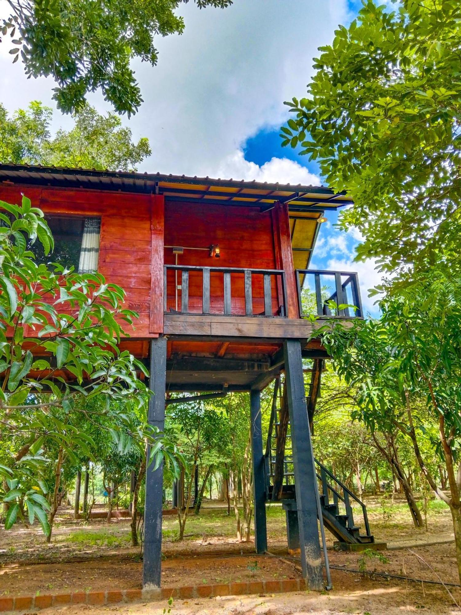 Ceylon Amigos Eco Resort Sigirîya Extérieur photo