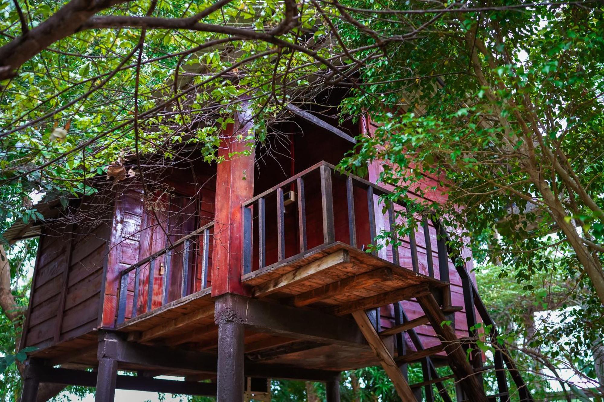 Ceylon Amigos Eco Resort Sigirîya Extérieur photo