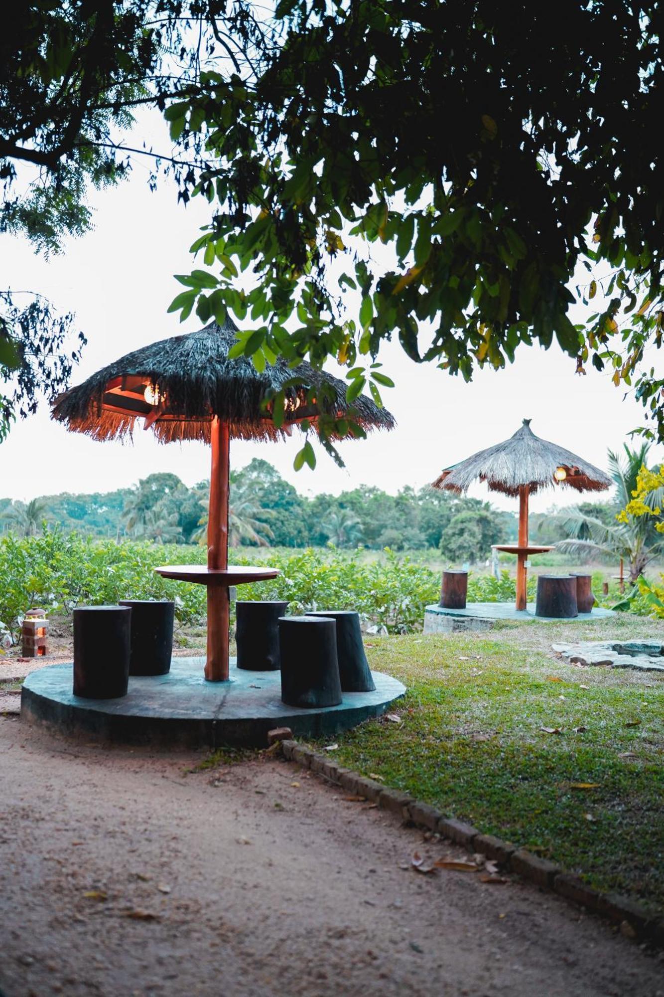 Ceylon Amigos Eco Resort Sigirîya Extérieur photo