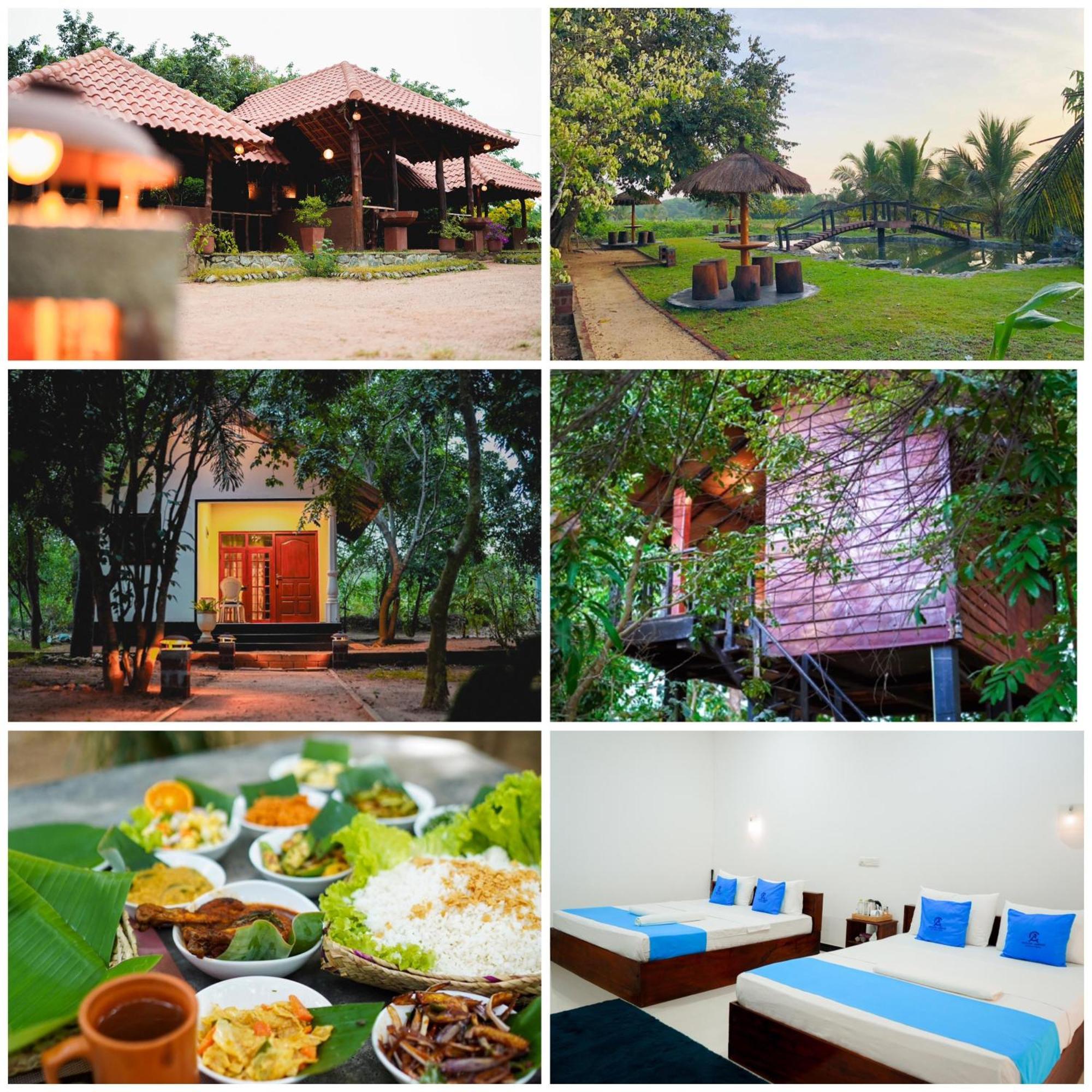 Ceylon Amigos Eco Resort Sigirîya Extérieur photo